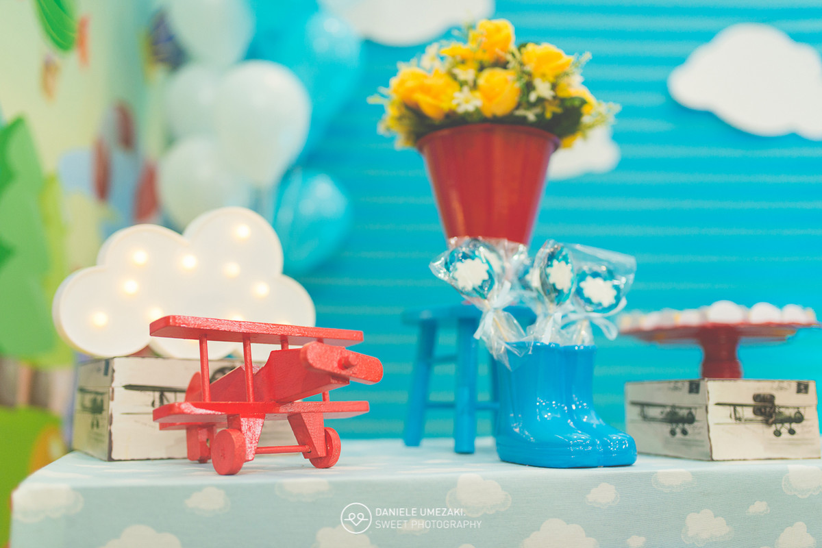 fotografa mogi das cruzes festa infantil decoração festa sapeca daniele umezaki melhor fotografa de mogi festa decoração perfeita