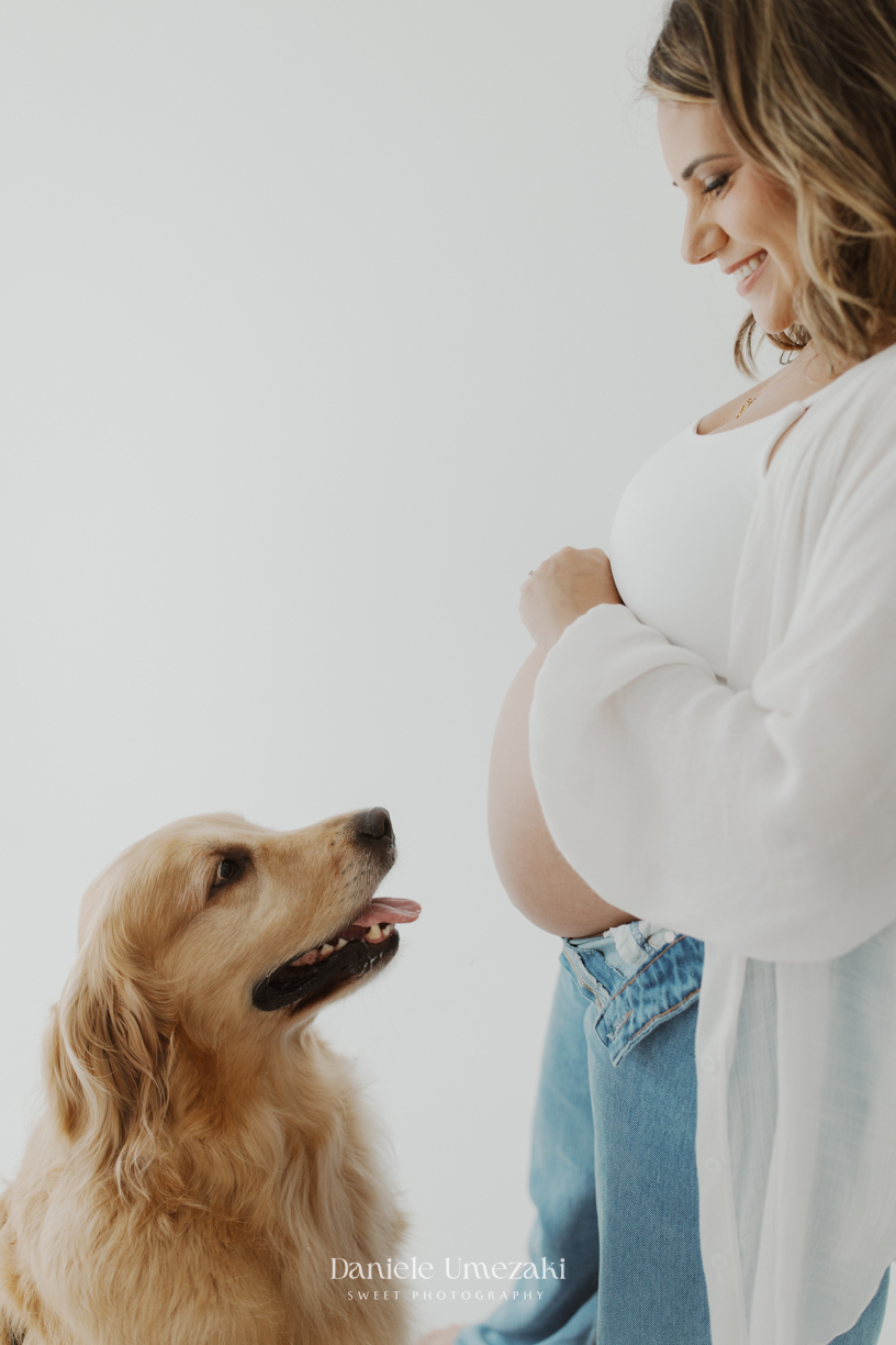 Mirela durante ensaio gestante com seus cães golden retriever em estúdio fotográfico em Mogi das Cruzes.
