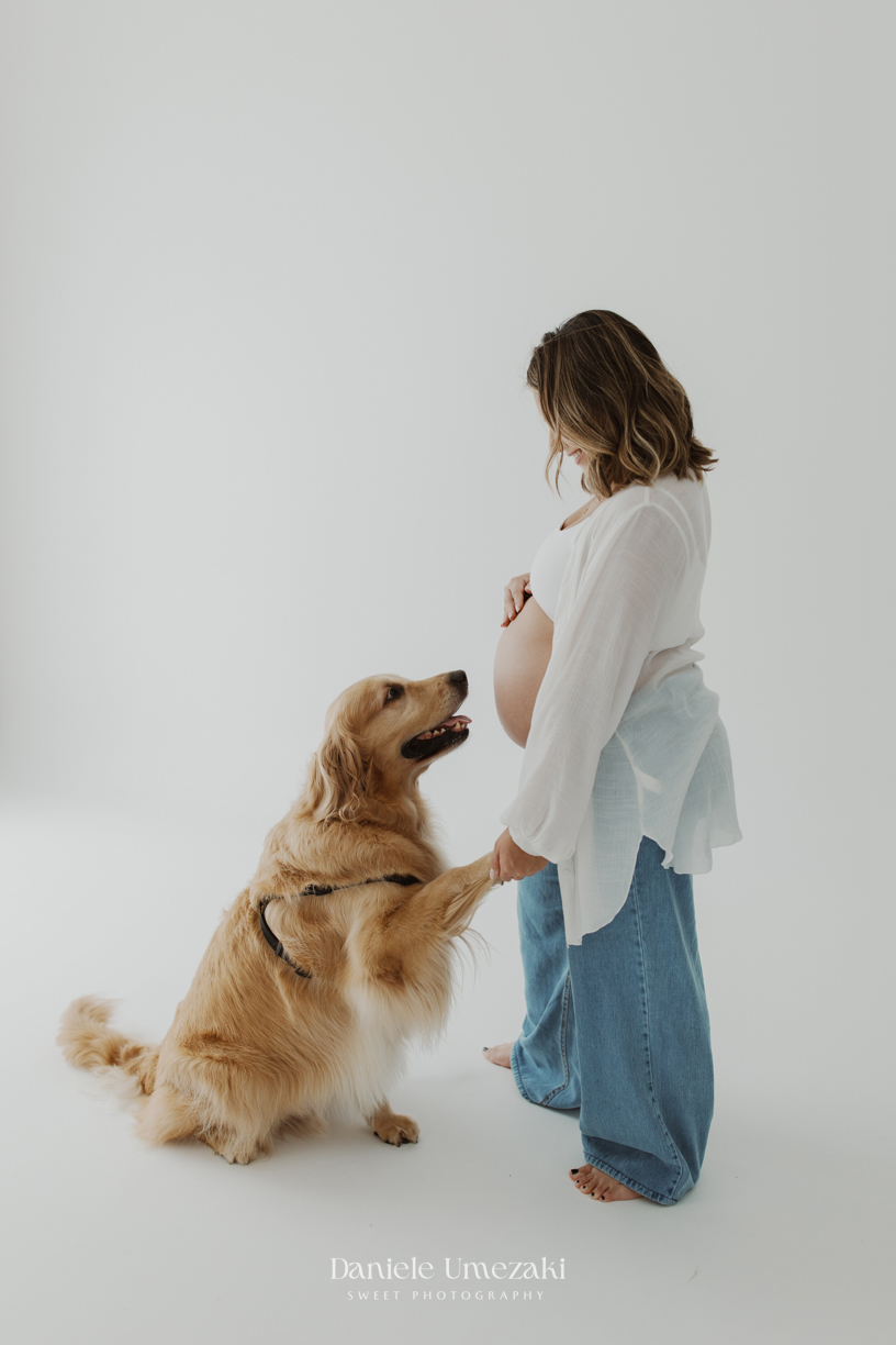 Mirela durante ensaio gestante com seus cães golden retriever em estúdio fotográfico em Mogi das Cruzes.