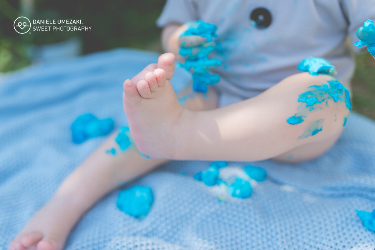 Fotografa mogi das cruzes fotografia guararema smash the cake mogi ensaio aniversário lá na casa da dona joaninha daniele umezaki sweet Photography
