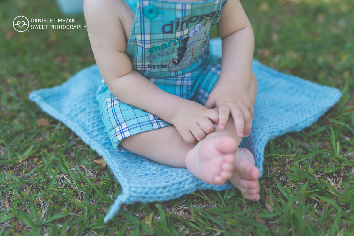 Fotografa mogi das cruzes fotografia guararema smash the cake mogi ensaio aniversário lá na casa da dona joaninha daniele umezaki sweet Photography