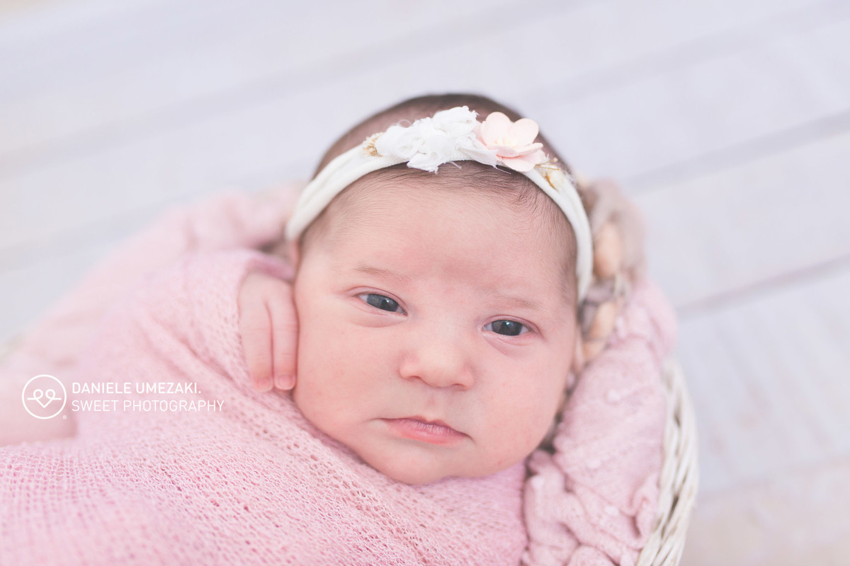 book newborn mogi das cruzes ensaio newborn guarulhos suzano guararema fotografia daniele umezaki sweet photography ensaio gestante