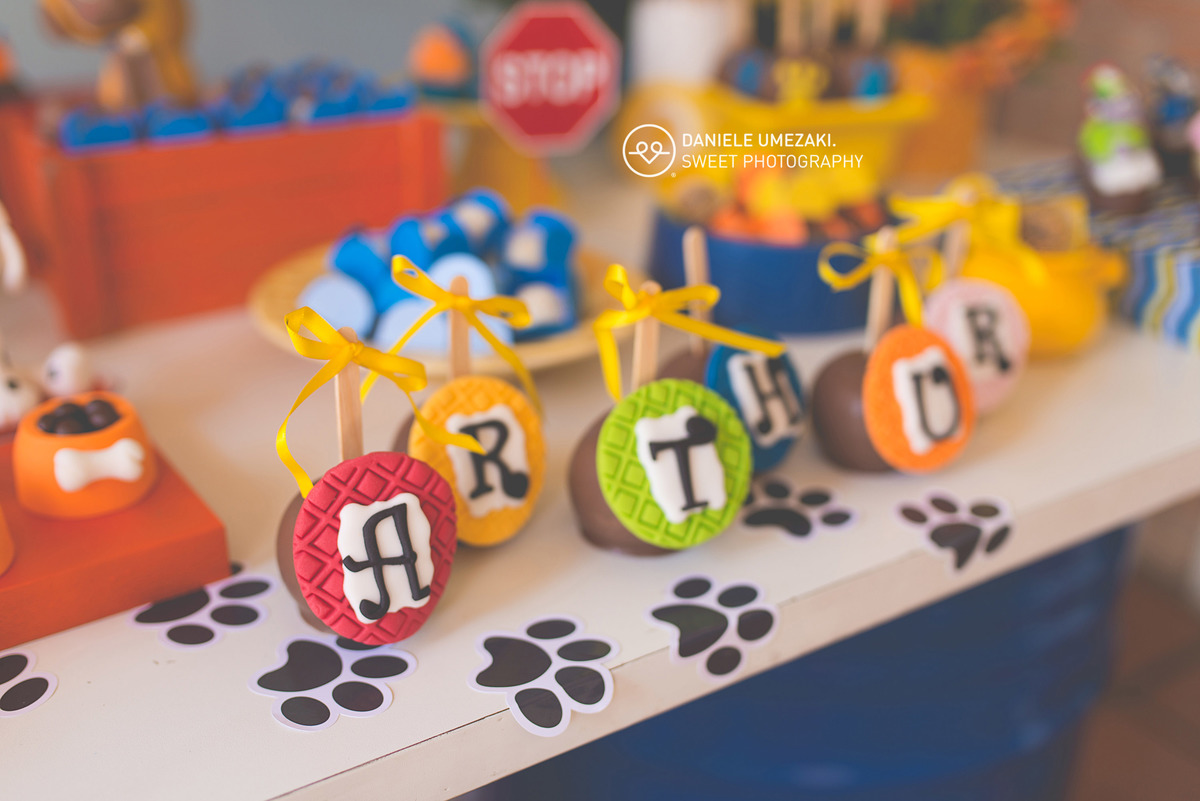 festa em mogi das cruzes patrulha canina fotografa mogi das cruzes lá na casa da dona joaninha festa perfeita