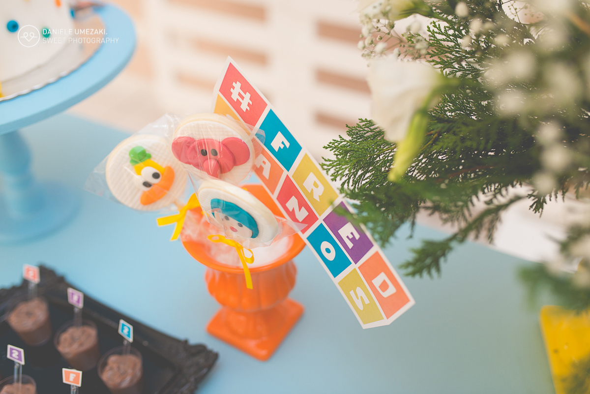 photography aniversário mogi das cruzes decoração mogi festa fotografa melhor festa linda festa com amor delicada acompanhamento do bebê 