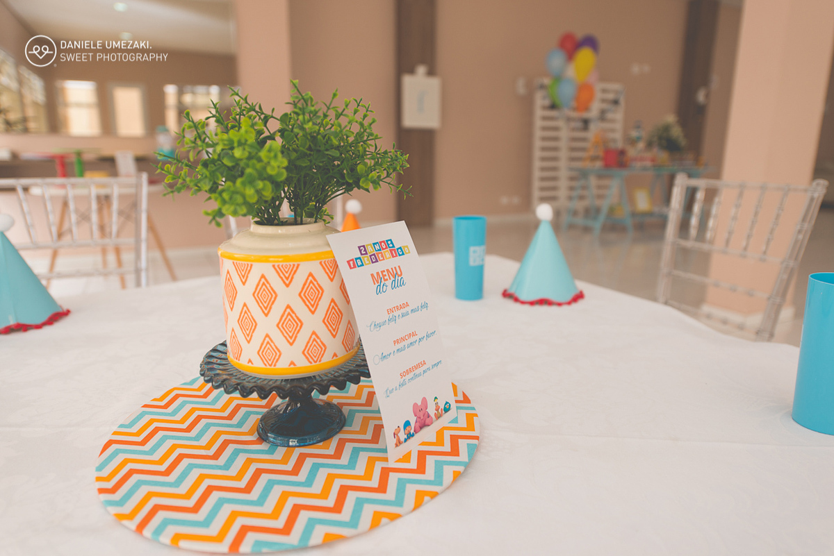 photography aniversário mogi das cruzes decoração mogi festa fotografa melhor festa linda festa com amor delicada acompanhamento do bebê 