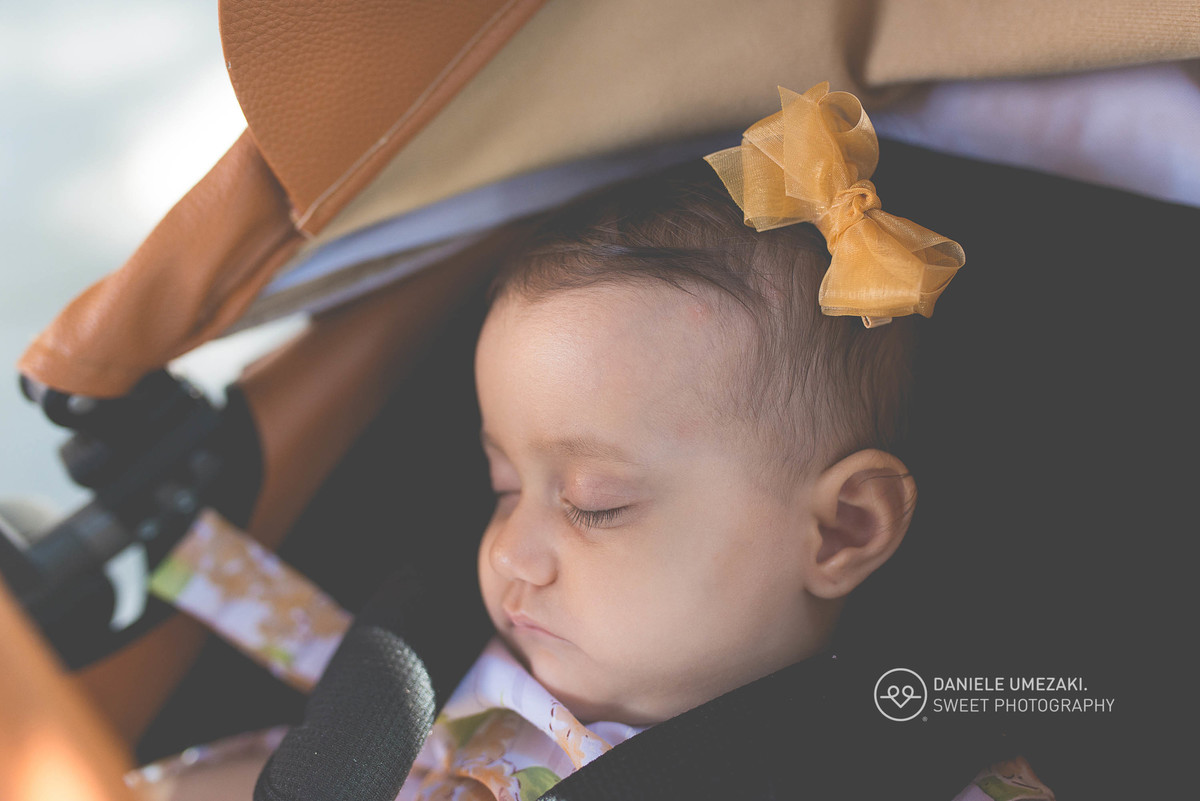 aniversário mogi das cruzes festa perfeita casa giardino tzpartie daniele umezaki sweet photography festa perfeitta fotografa mogi das cruzes fotografia aniversário festa ao ar livre 