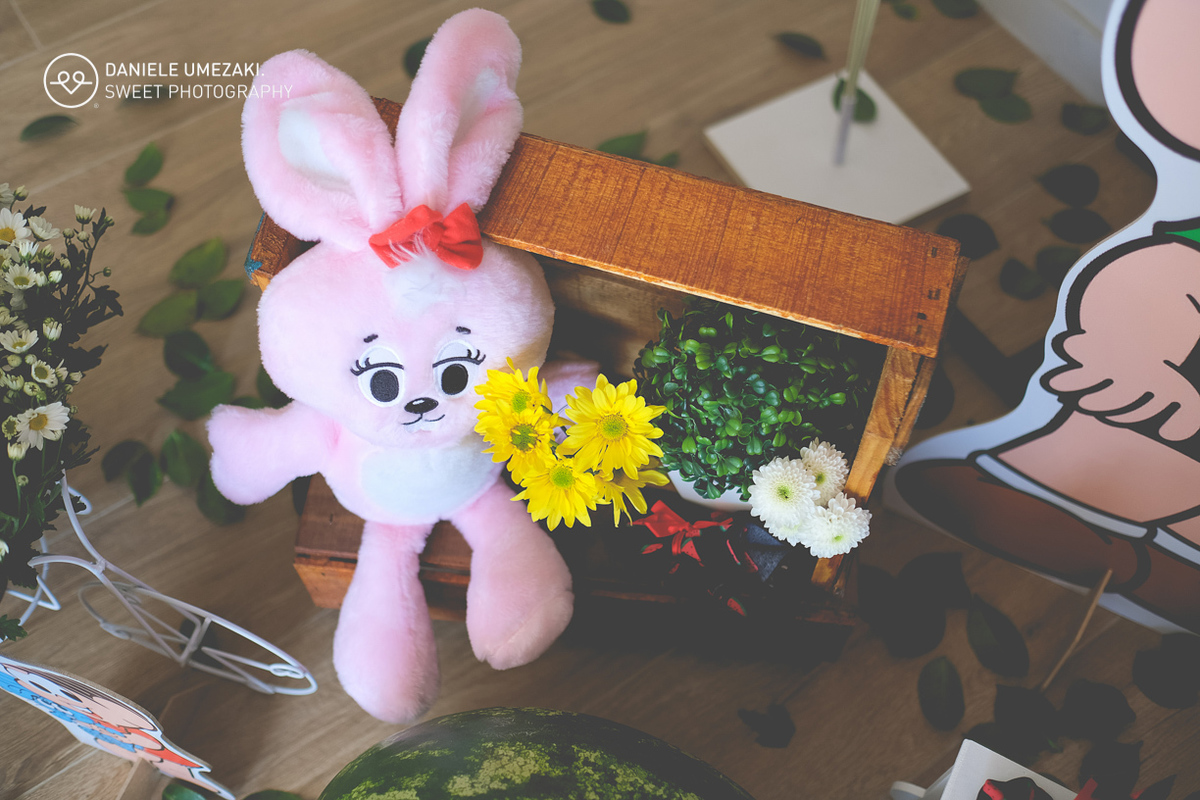 fotografia daniele umezaki sweet photography fotografa mogi das cruzes festa mogi festa linda perfeita little tiger tz partie