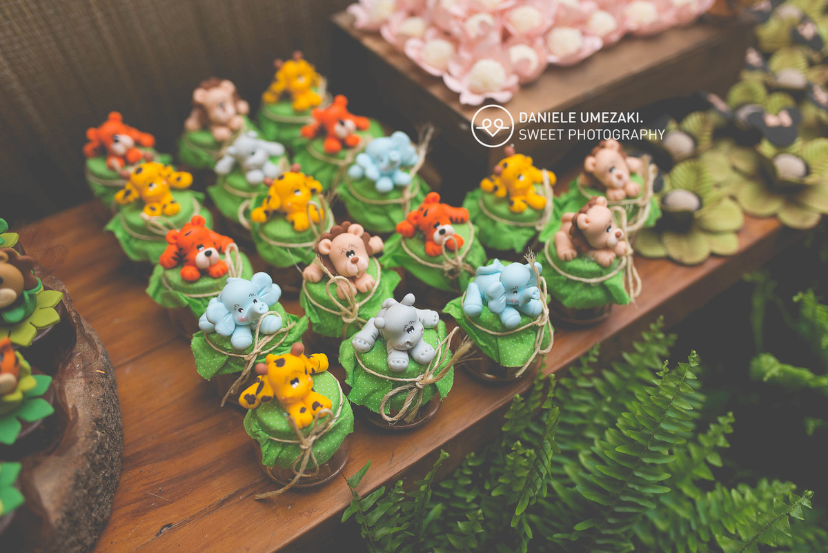 fotografa de aniversário infantil em mogi das cruzes melhor fotografa de mogi festa infantil dirce decoração daniele umezaki fotografia