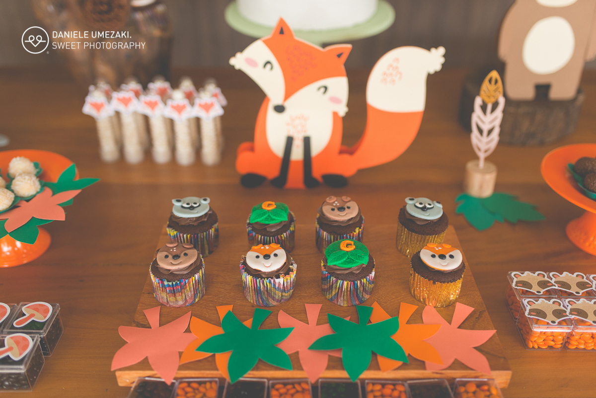 Festa em casa feito pela mamãe fotografada com muito amor, realziado em mogi das cruzes faça sua festa fotografa em mogi 