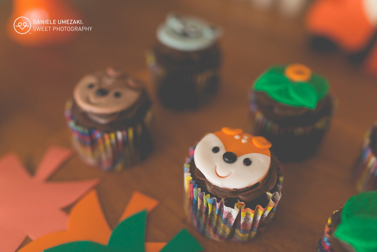 Festa em casa feito pela mamãe fotografada com muito amor, realziado em mogi das cruzes faça sua festa fotografa em mogi 