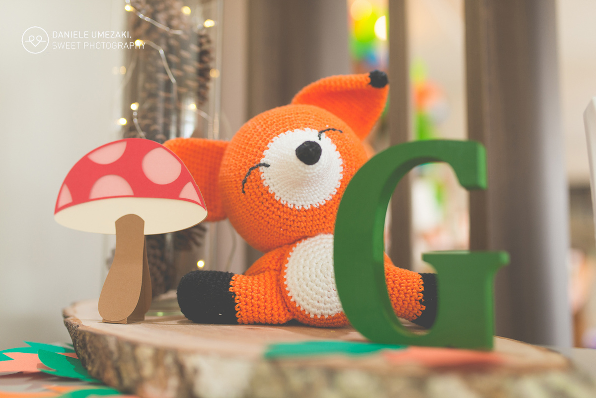 Festa em casa feito pela mamãe fotografada com muito amor, realziado em mogi das cruzes faça sua festa fotografa em mogi 