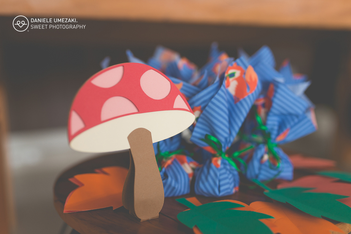 Festa em casa feito pela mamãe fotografada com muito amor, realziado em mogi das cruzes faça sua festa fotografa em mogi 