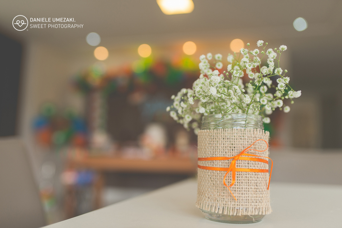 Festa em casa feito pela mamãe fotografada com muito amor, realziado em mogi das cruzes faça sua festa fotografa em mogi 