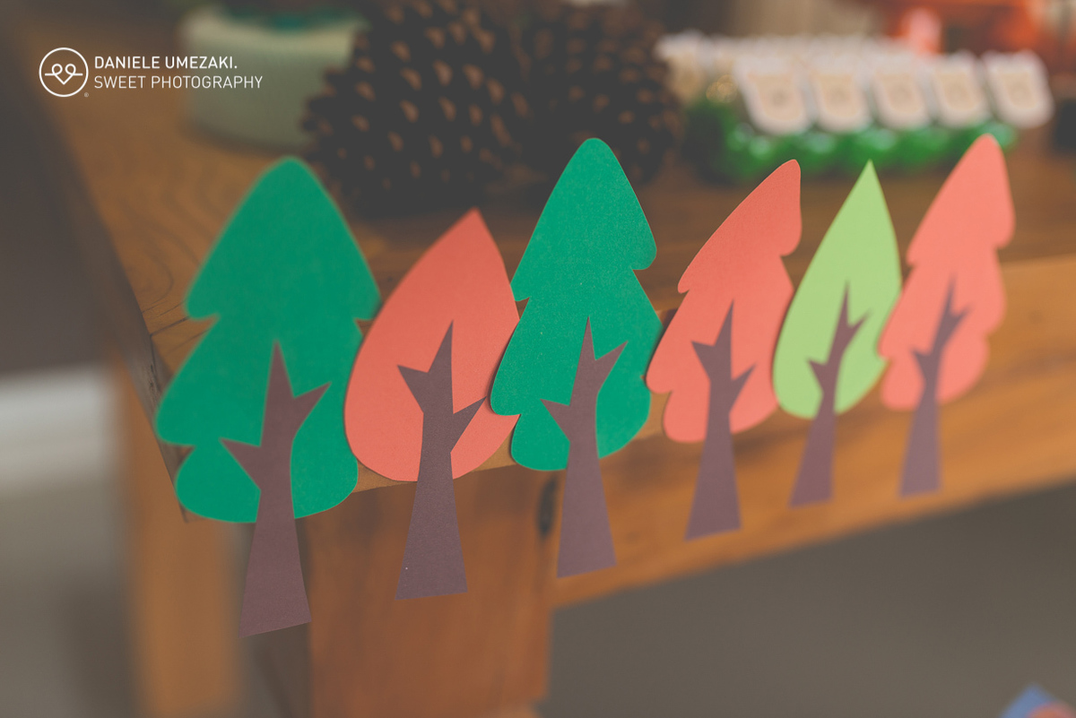 Festa em casa feito pela mamãe fotografada com muito amor, realziado em mogi das cruzes faça sua festa fotografa em mogi 