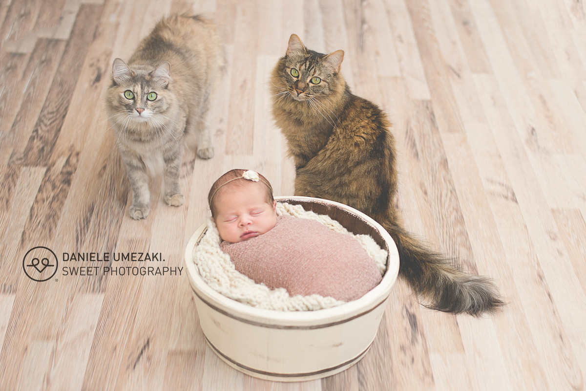 daniele umezaki fotografa mogi das cruzes fotografia newborn recém nascido