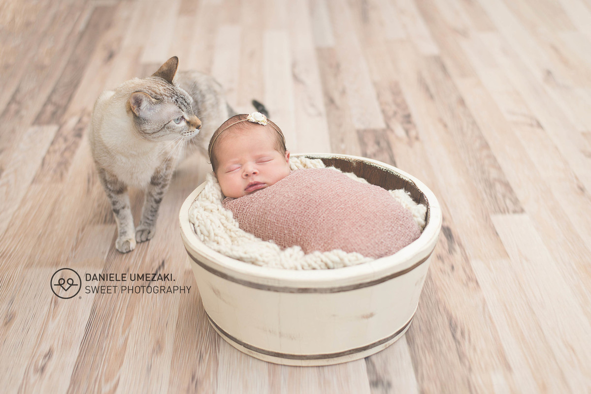 daniele umezaki fotografa mogi das cruzes fotografia newborn recém nascido