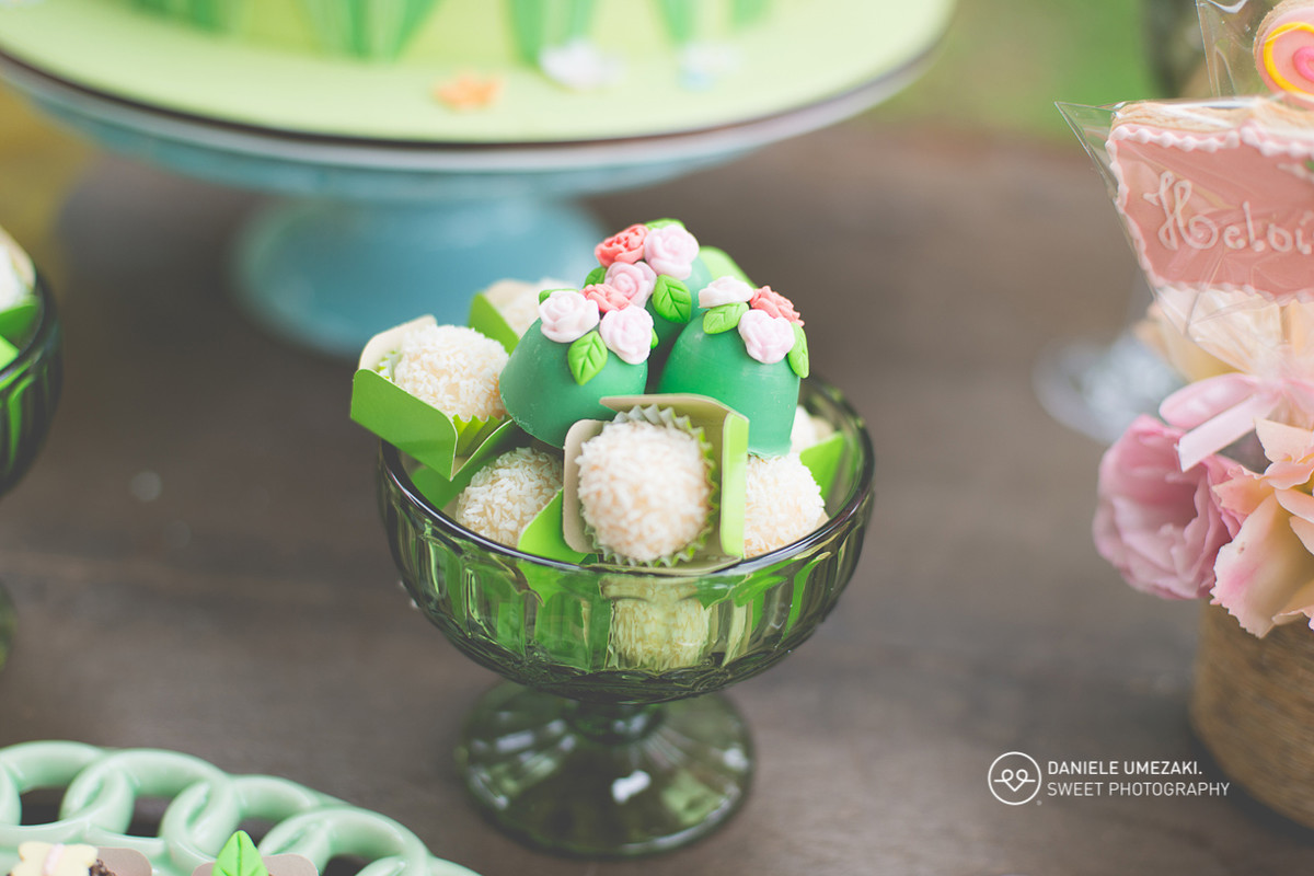 daniele umezaki fotografa mogi das cruzes fotografo sp book infantil aniversário gestante cha de bebe newborn