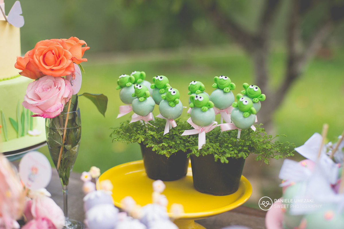 daniele umezaki fotografa mogi das cruzes fotografo sp book infantil aniversário gestante cha de bebe newborn