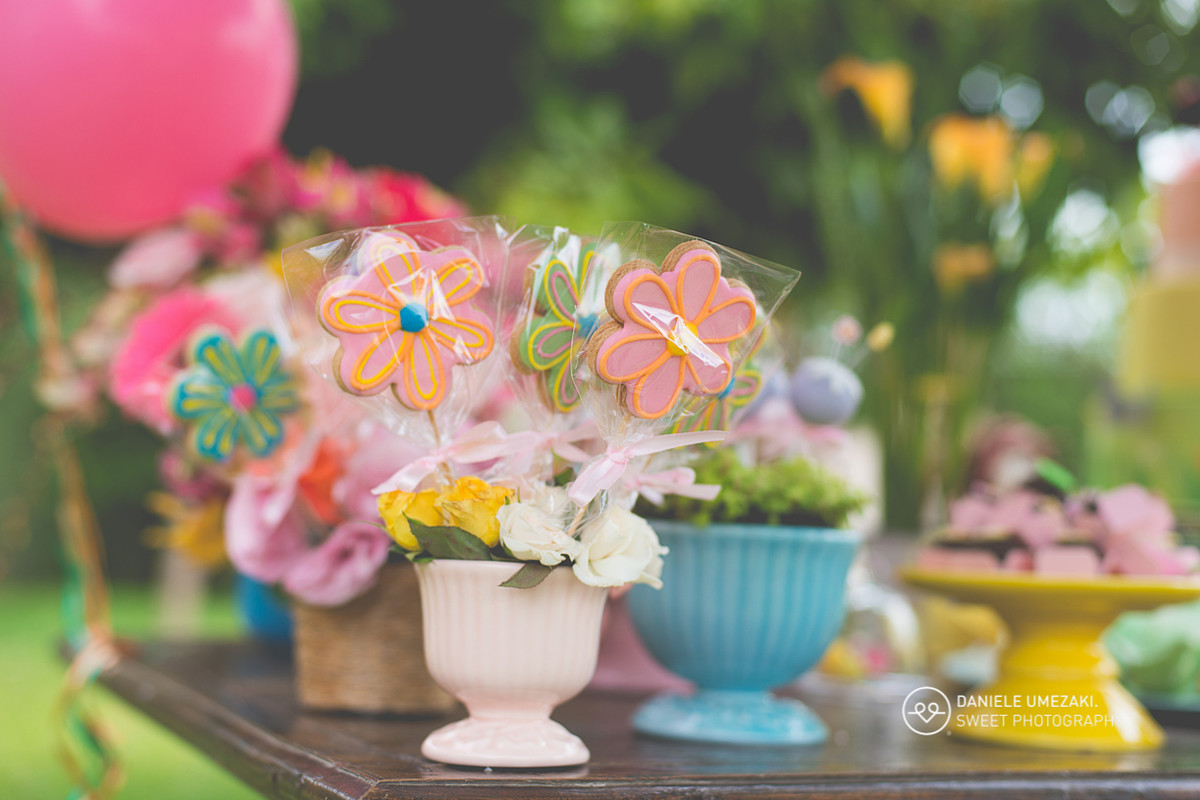 daniele umezaki fotografa mogi das cruzes fotografo sp book infantil aniversário gestante cha de bebe newborn