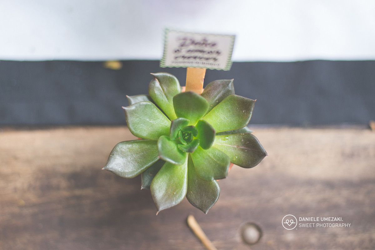 decoração festa infantil mesa decorada decoração de festa pequenique festa ao ar livre casa da arvore festa infantil mogi das cruzes fotografa mogi das cruzes daniele umezaki sweet photography
