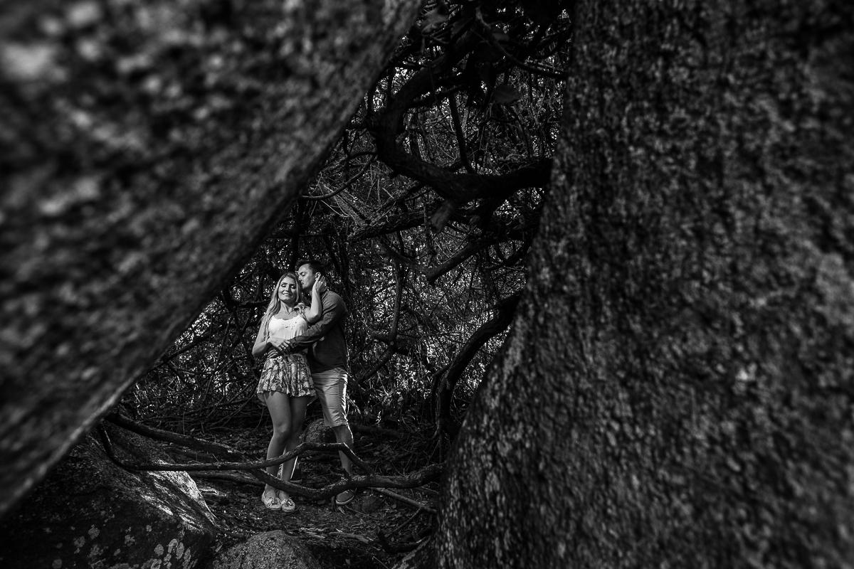 foto de casal em meio a árvores