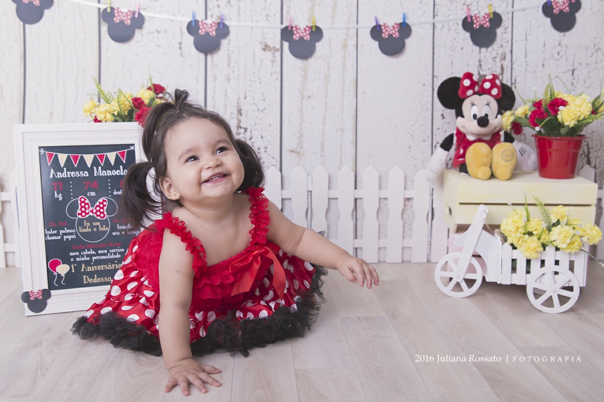 Juliana Rossato Fotografia, são paulo, interlagos, zona sul, santo amaro, estúdio fotográfico, ensaio infantil, abfrn, SP, acompanhamento infantil, smash the cake, smash the fruit, smash the paint, minnie 