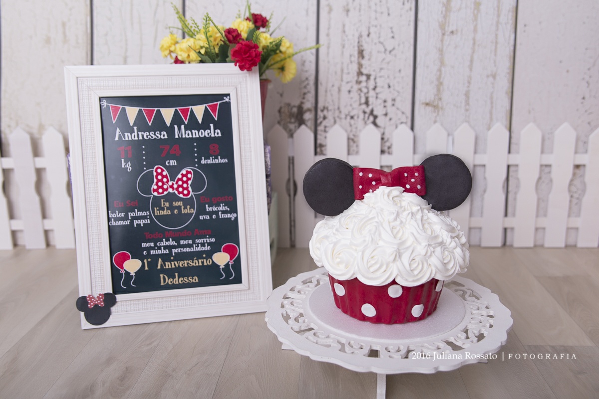 Juliana Rossato Fotografia, são paulo, interlagos, zona sul, santo amaro, estúdio fotográfico, ensaio infantil, abfrn, SP, acompanhamento infantil, smash the cake, smash the fruit, smash the paint, minnie 