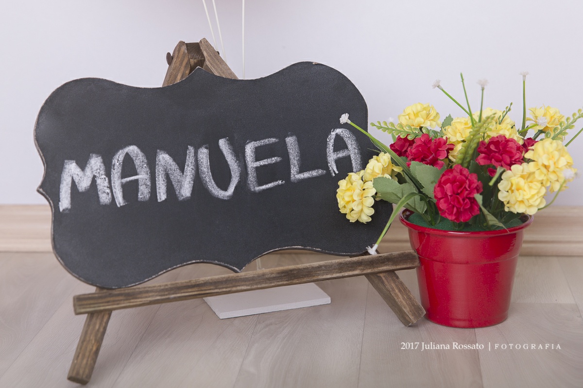 Juliana Rossato Fotografia, são paulo, interlagos, zona sul, santo amaro, estúdio fotográfico, ensaio infantil, abfrn, SP, acompanhamento infantil, smash the cake, smash the fruit, smash the paint