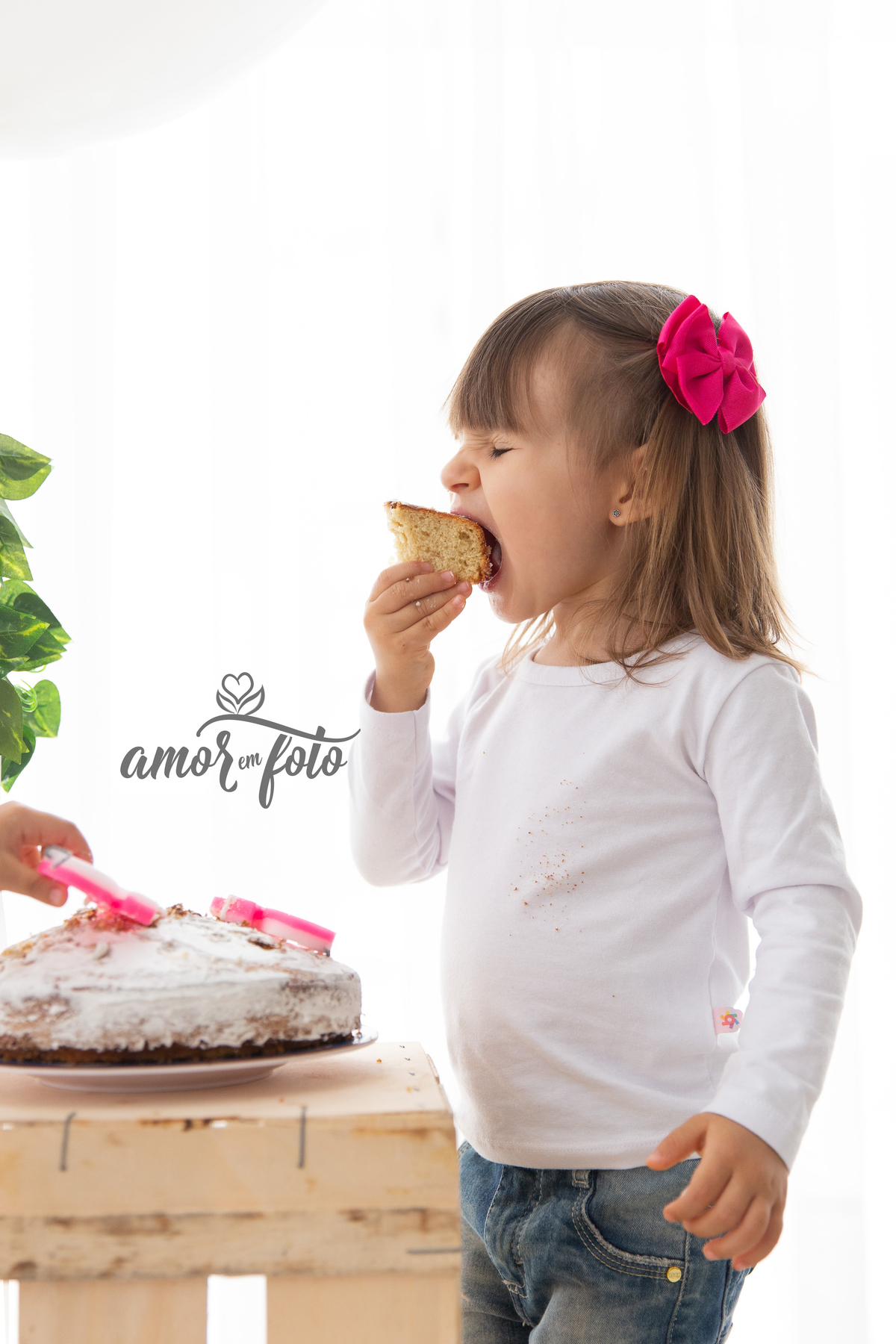 Smash the cake Canoas