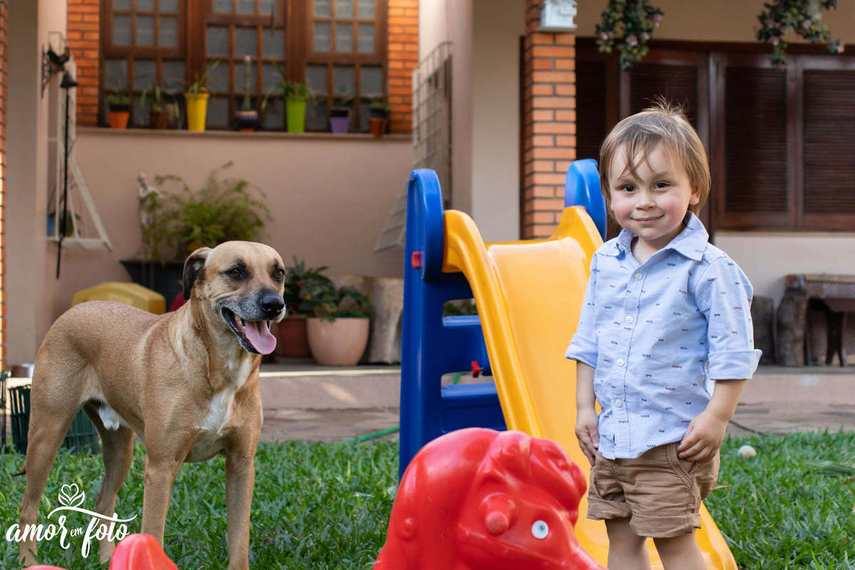 Fotógrafa festa infantil Canoas