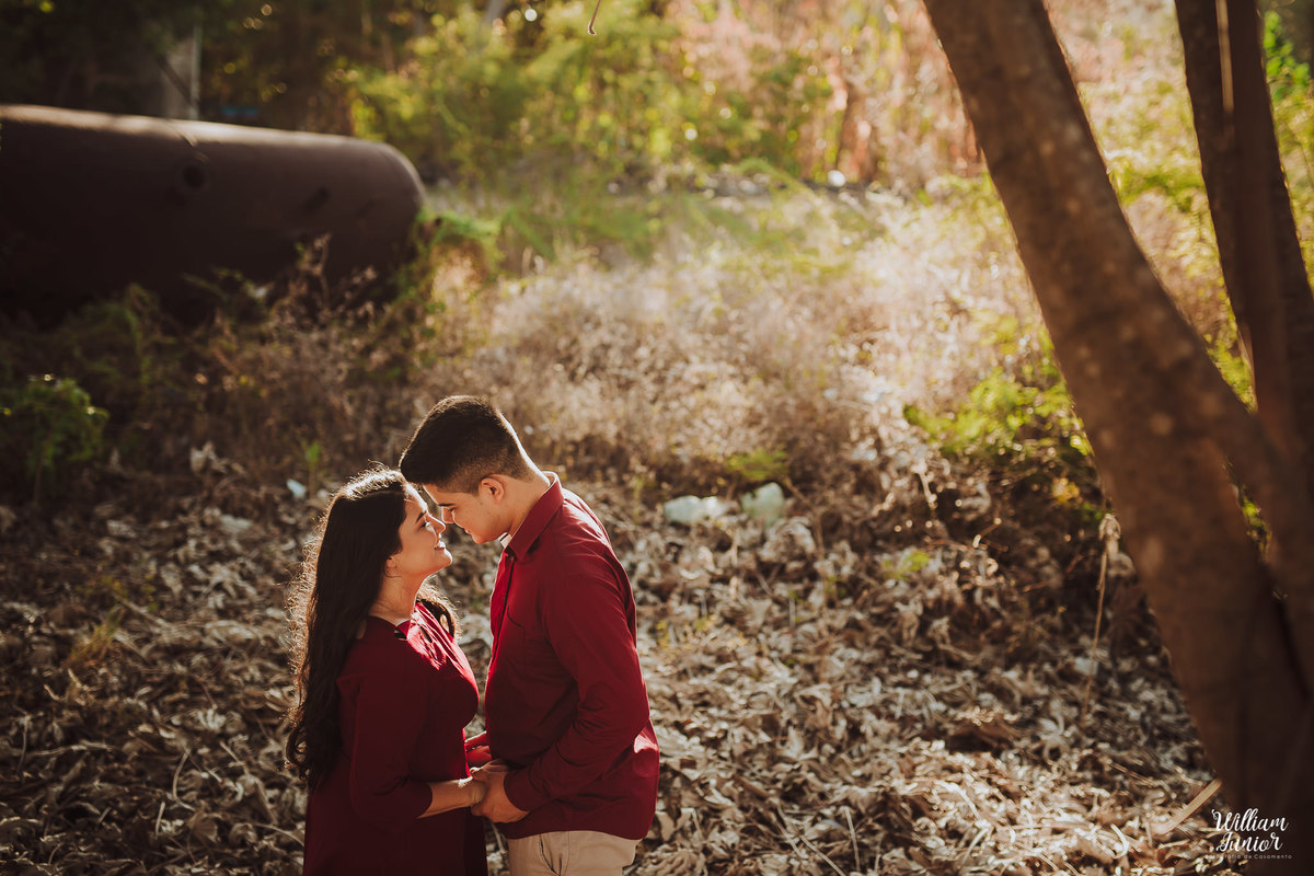 Sessão-Pré-Casamento-Engenhoca-Park-Aquiraz-Ceara-Natalia-e-Willame