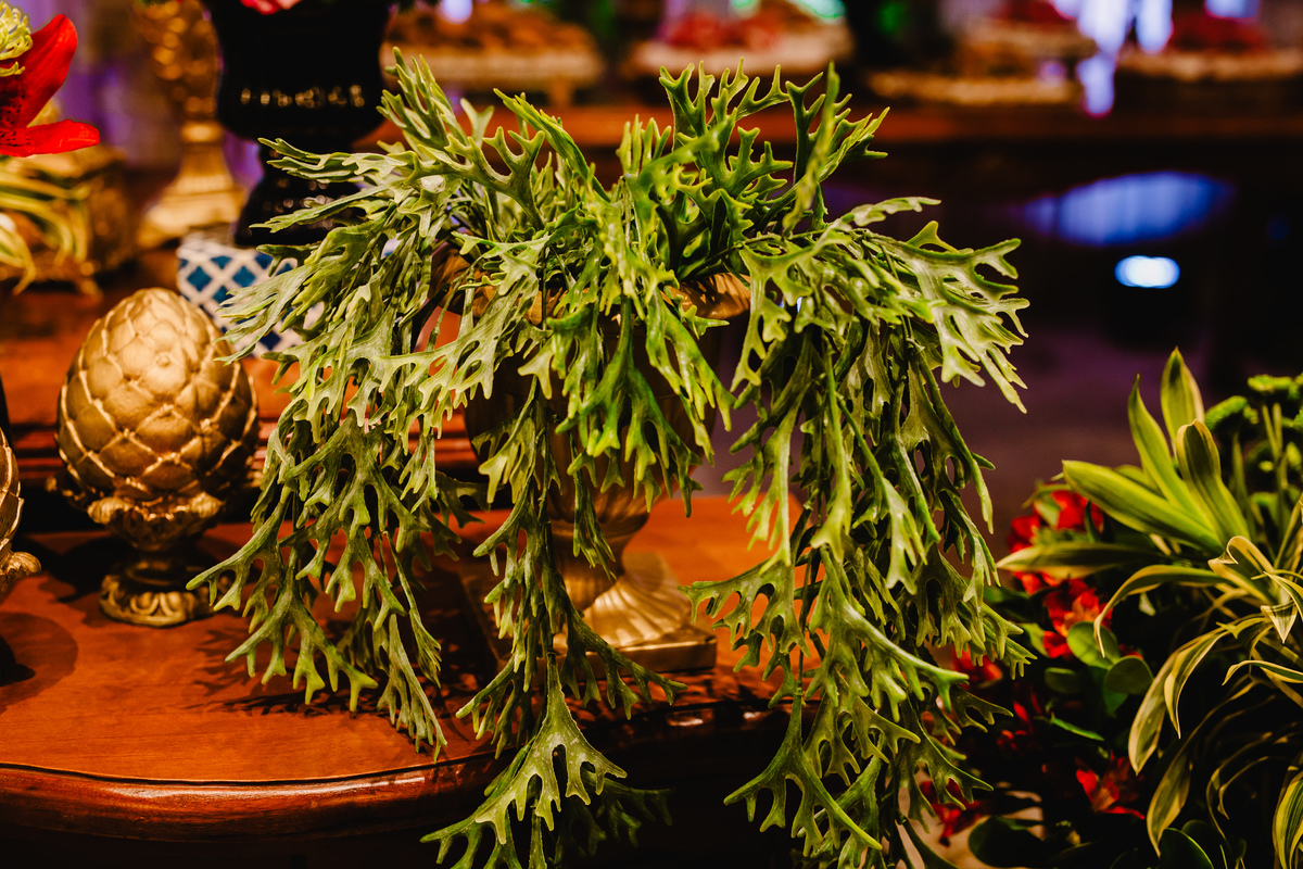 Decoração no Buffet Royal Gourmet