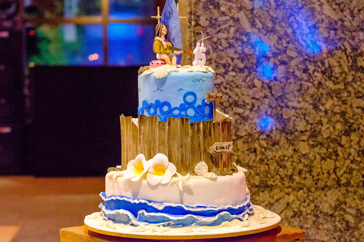 Debu Rachel 15th - 15 anos por Vinícius Vogel Fotógrafo Profissional, Book Família e Casamentos em Porto Alegre, Vale dos Sinos, Serra, Gramado, Canela, bento Gonçalves, caxias do sul, São Paulo, rio de janeiro, curitiba, Portugal, bolo,