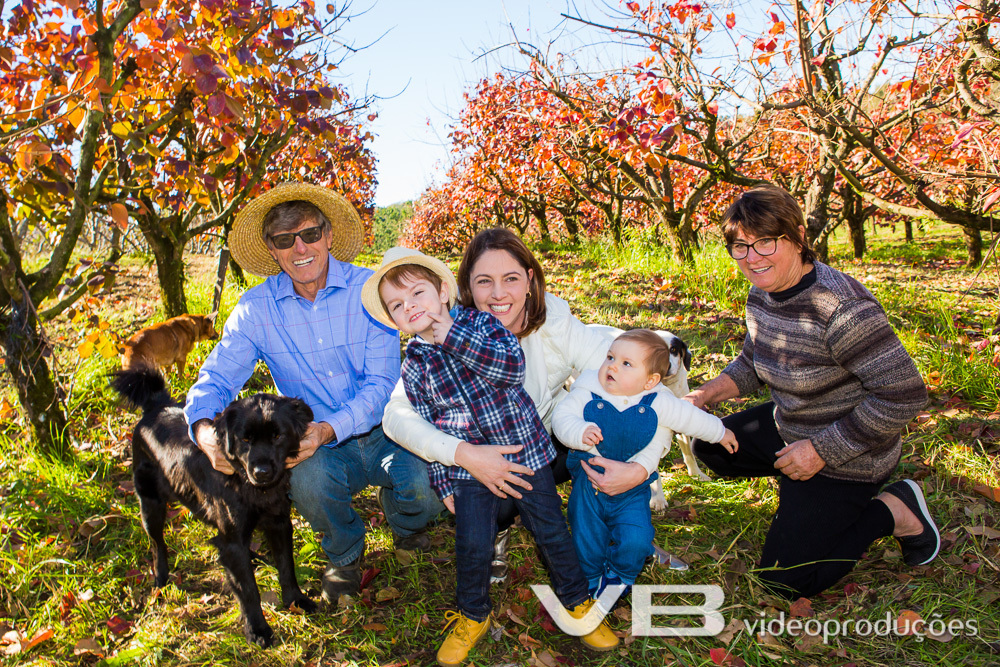 Crianças com família num pomar de caquis