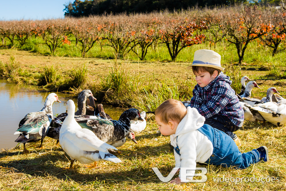 crianças com patos na lagoa