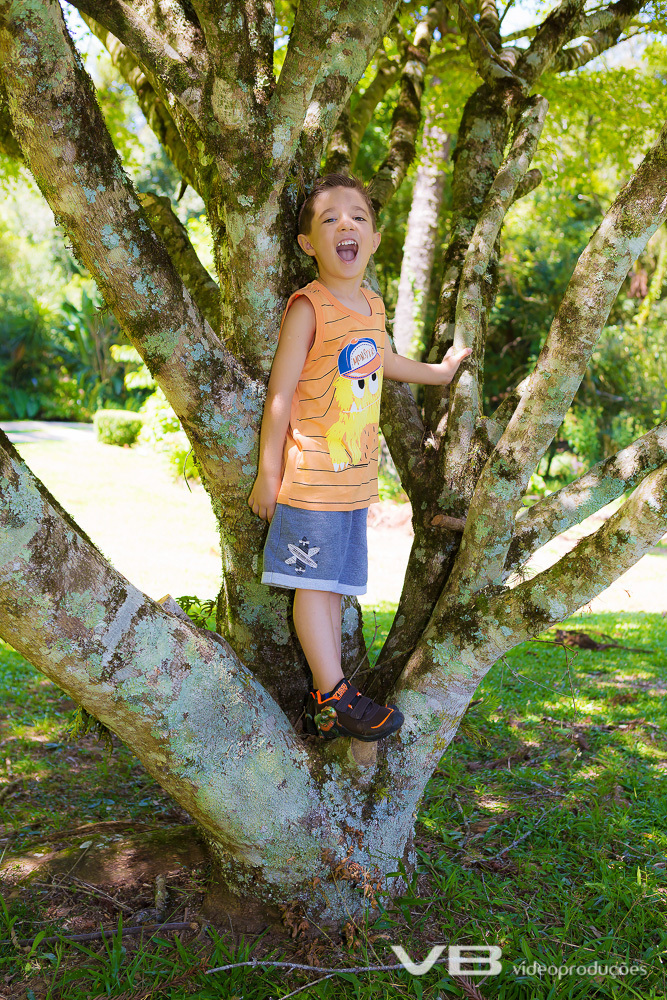 Menino subindo em árvore

