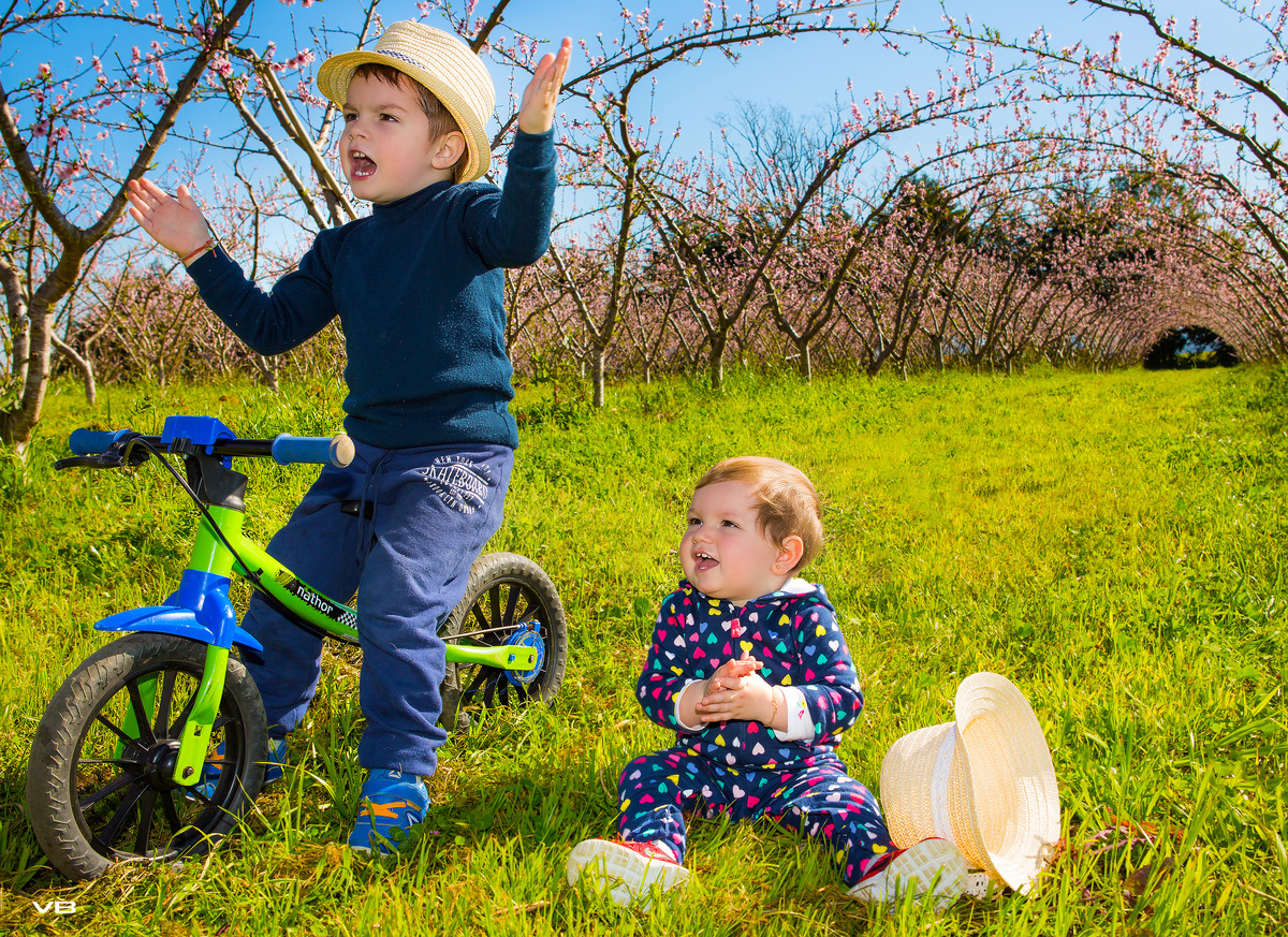Crianças brincando num campo de pessegueiros floridos
