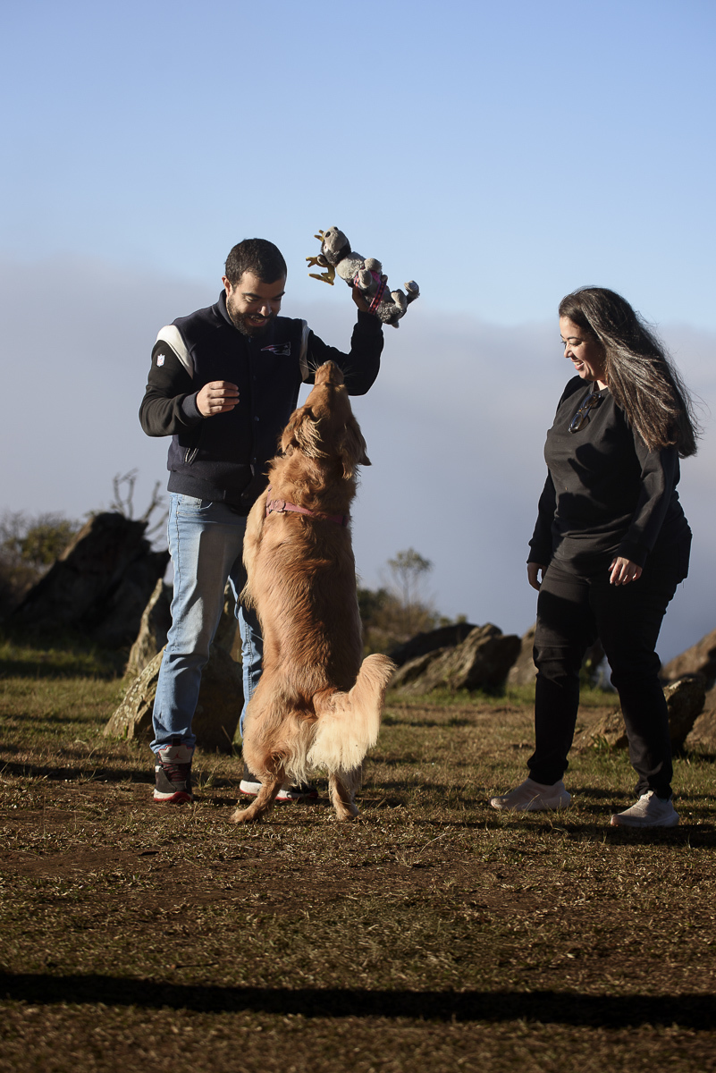 Rapaz e mocã brincar com a golden retriever que está em pé tentando pegar uma pelucia da mão do rapaz