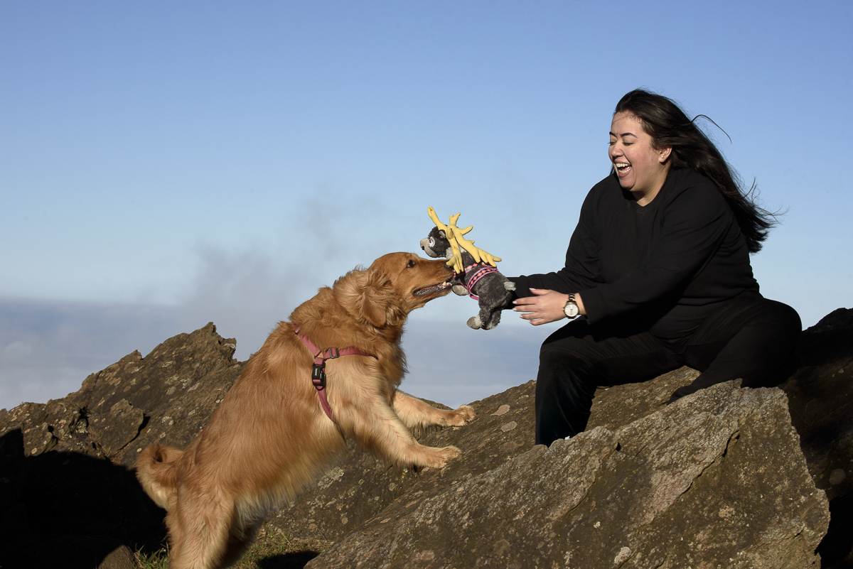 moça brinca com sua golde retriever. A moça está sentada nas pedras brincando de g=cabo de guerra. A golden apoia as patas dianteiras na pedras e tenta puxar a pelucia . A moça está sorrindo.