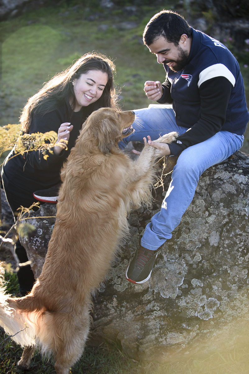 Casal brincando com seu golden retriever