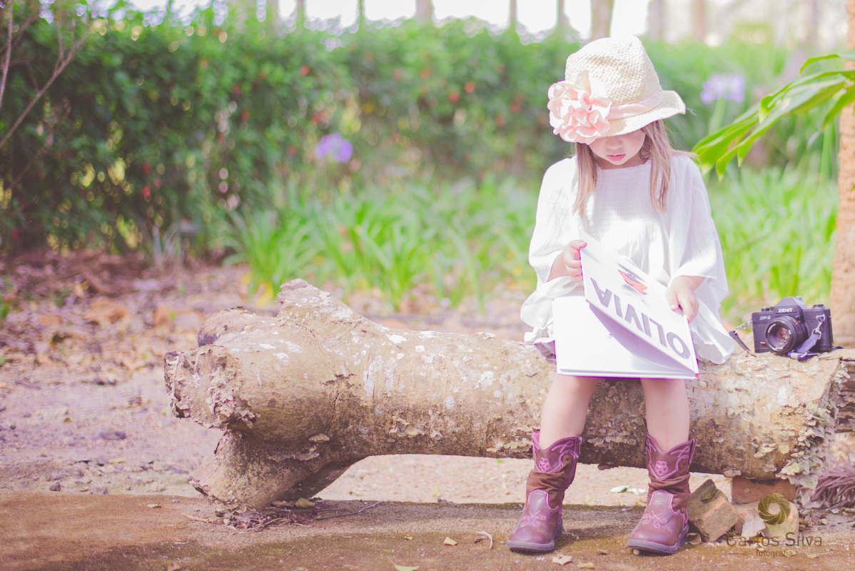 lendo no tronco da arvore