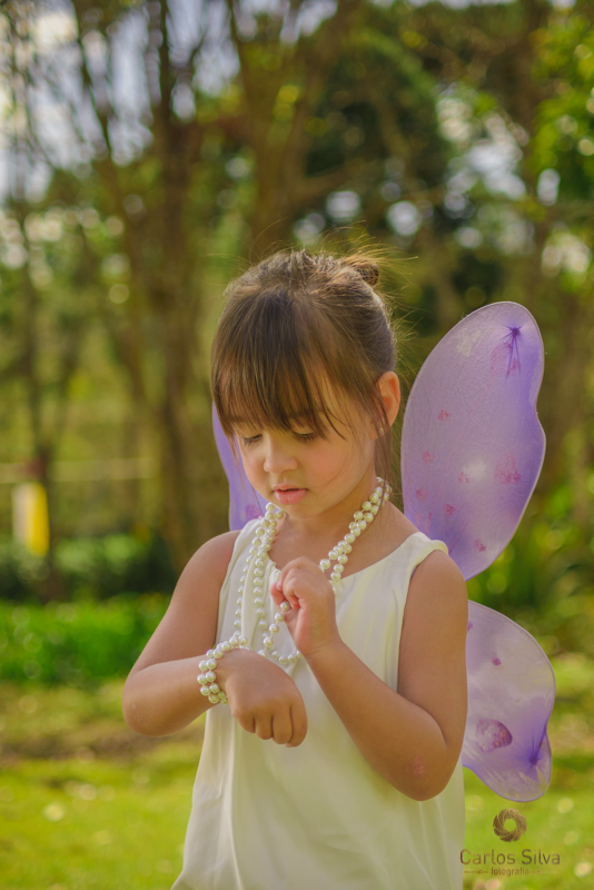 colar e asas de fada