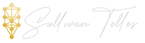 Logotipo de Sullivan Telles da Silva Lemaire