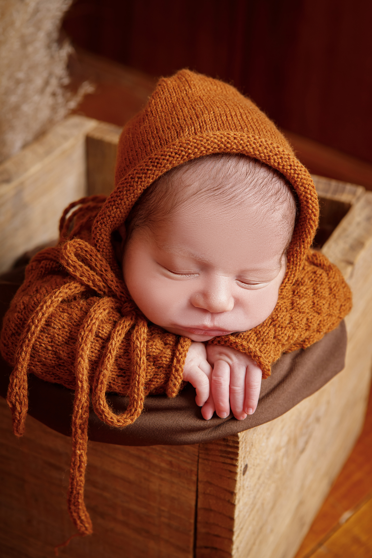 SI RODRIGUES BOOK NEWBORN