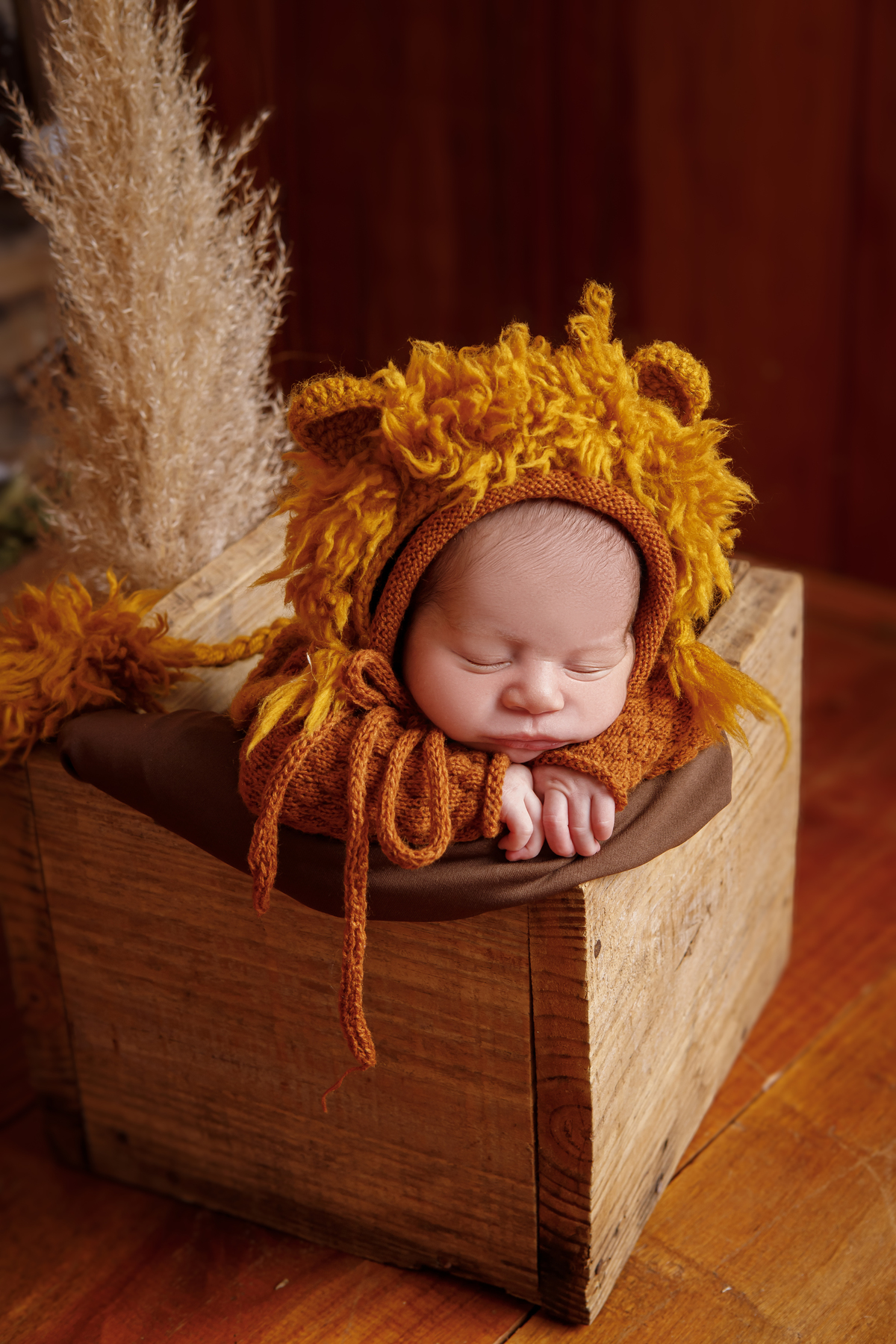 SI RODRIGUES BOOK NEWBORN