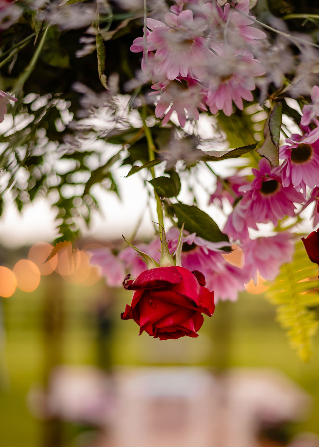 ivanlopesfotografia, fotografodecasamento, fotografodecasamentocanguçu, fotografodecasamentosaolourençodosul, casamentonarua, casamentoaoarlivre, casamentocomviolino, casamentofazendasobrado (1)