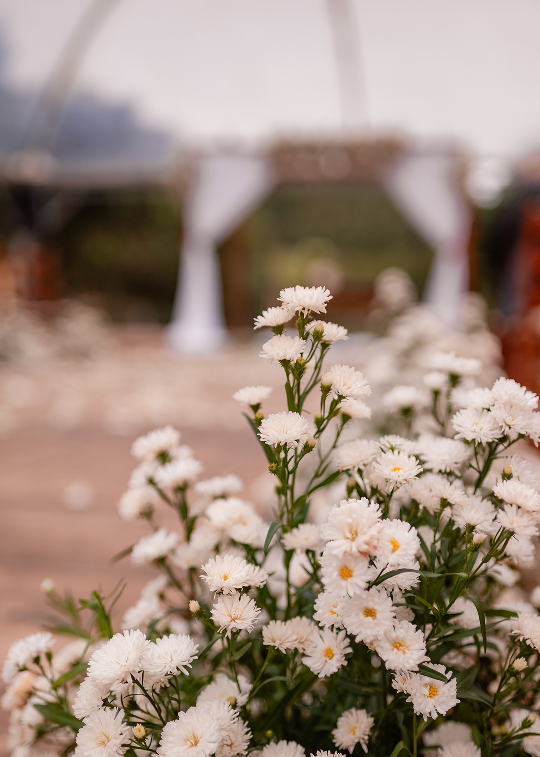 ivanlopesfotografia, fotografodecasamento, fotografodecasamentocanguçu, fotografodecasamentosaolourençodosul, casamentonarua, casamentoaoarlivre, casamentocomviolino, casamentoarlivre (1)