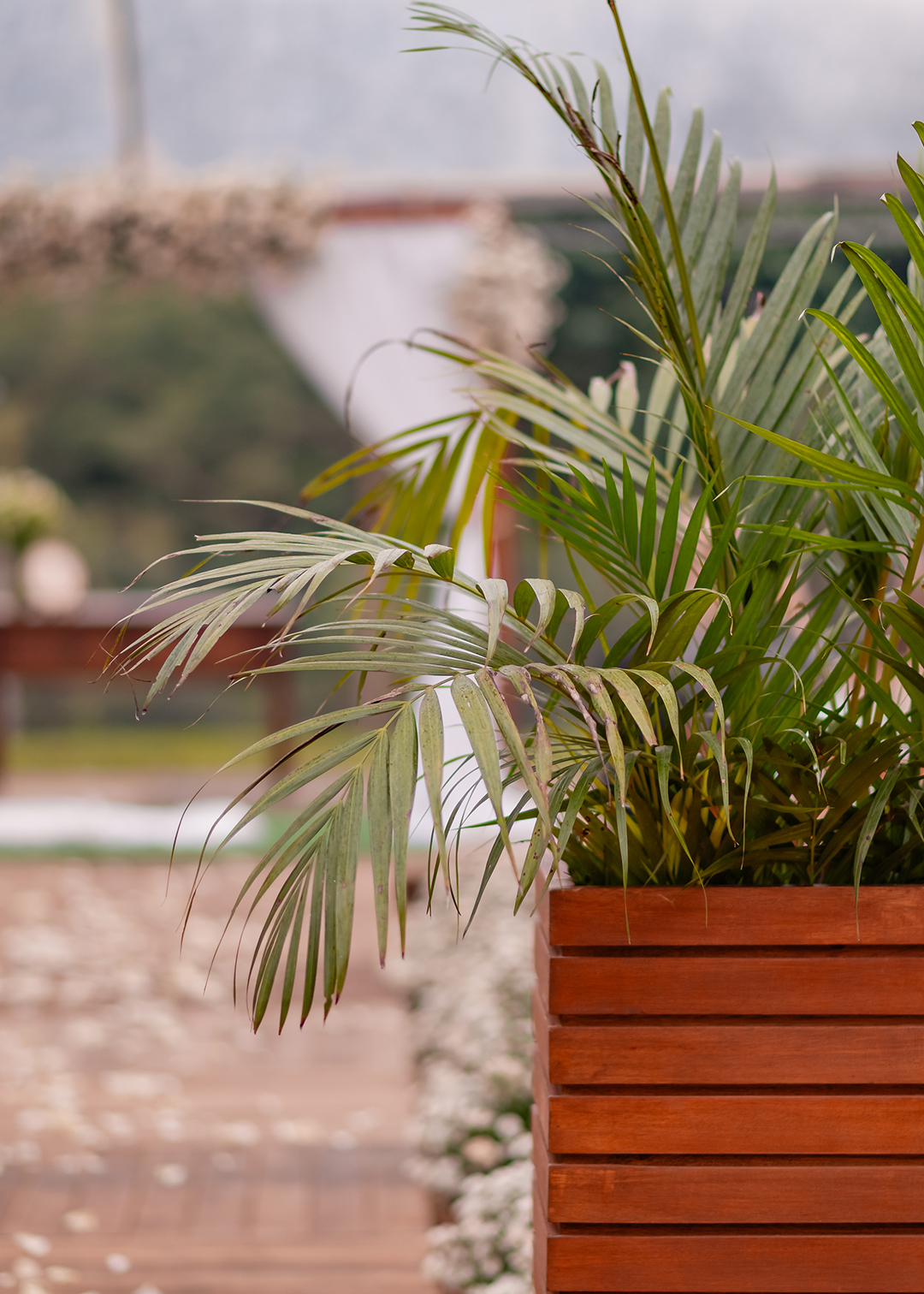 ivanlopesfotografia, fotografodecasamento, fotografodecasamentocanguçu, fotografodecasamentosaolourençodosul, casamentonarua, casamentoaoarlivre, casamentocomviolino, casamentoarlivre (1)