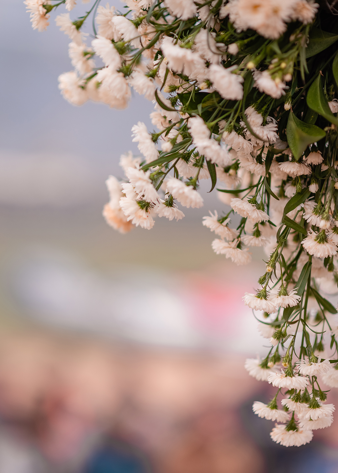 ivanlopesfotografia, fotografodecasamento, fotografodecasamentocanguçu, fotografodecasamentosaolourençodosul, casamentonarua, casamentoaoarlivre, casamentocomviolino, casamentoarlivre (1)