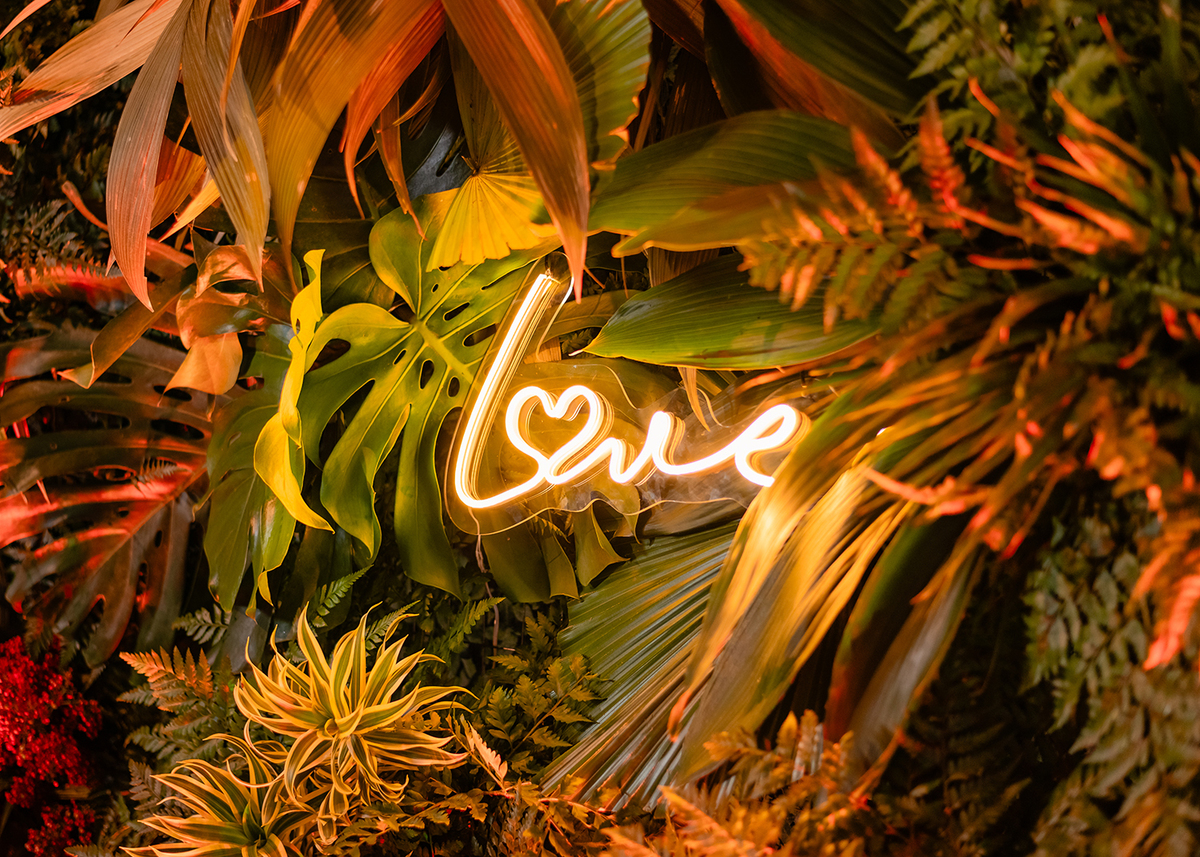 ivanlopesfotografia, fotografodecasamento, fotografodecasamentopelotas,fotografodecasamentosaolourençodosul, casamentonarua, casamentoaoarlivre, casamentocomviolino, casamentoarlivre , chacarafiss, casamentochacarafiss